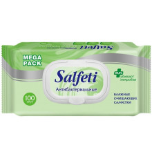 Салфетки влажные 100шт в упак антибактериальные в ассортименте