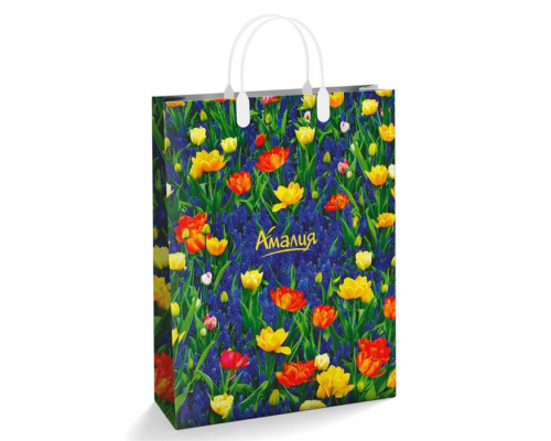 Пакет с пластиковой ручкой 32*42*10 150мкм мягкий пластик в ассортименте купить в Уфе в Упакофф Пакет с пластиковой ручкой 32*42*10 150мкм мягкий пластик в ассортименте купить в Уфе в Упакофф