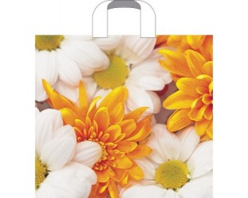 Пакет ПЭ с петлевой ручкой 38*42 40мкм В АССОРТИМЕНТЕ