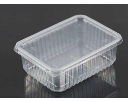 Контейнер прям 2000мл 179*132*93 ЮУП ДНО+КРЫШКА