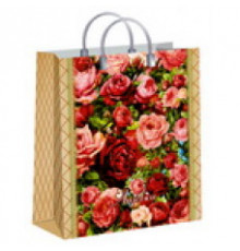 Пакет с пластиковой ручкой 23*27*10 150мкм мягкий пластик в ассортименте