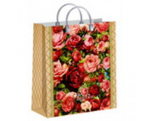 Пакет с пластиковой ручкой 23*27*10 150мкм мягкий пластик в ассортименте