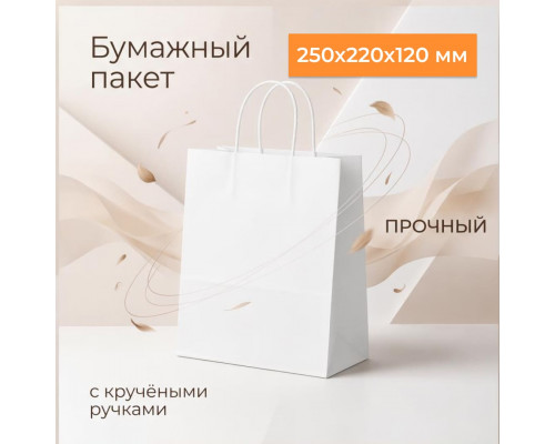 Пакет бумажный с круч. ручками 250*220*120 белый