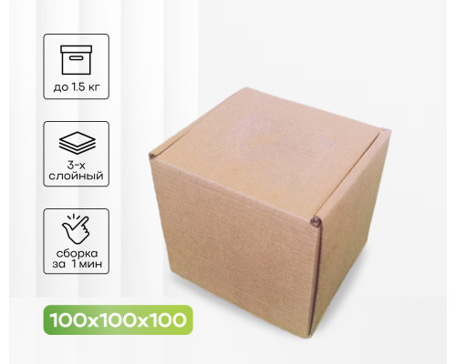 Коробка картонная самосборная 100*100*100мм СП УФА ЧЛБ НСК