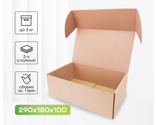 Коробка картонная самосборная 290*180*100мм СП УФА НСК ЧЛБ