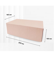 Коробка картонная самосборная 290*180*100мм СП УФА НСК ЧЛБ
