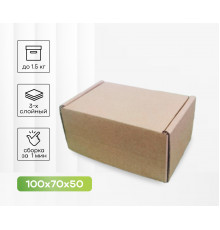 Коробка картонная самосборная 100*70*50мм СП ЧЛБ НСК УФА