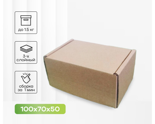 Коробка картонная самосборная 100*70*50мм СП ЧЛБ НСК УФА