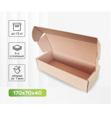 Коробка картонная самосборная 170*70*40мм СП ЧЛБ УФА НСК