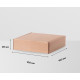 Коробка картонная самосборная 100*100*20мм СП УФА ЧЛБ