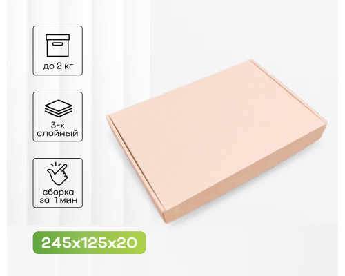 Коробка картонная самосборная 245*125*20мм СП ЧЛБ УФА