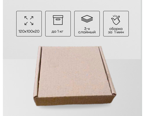 Коробка картонная самосборная 120*100*20мм СП УФА ЧЛБ