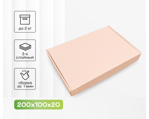 Коробка картонная самосборная 200*100*20мм СП УФА НСК ЧЛБ