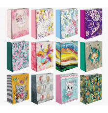 Пакет подарочный бумажный 18*24*8,5 Микс рисунок в ассортименте