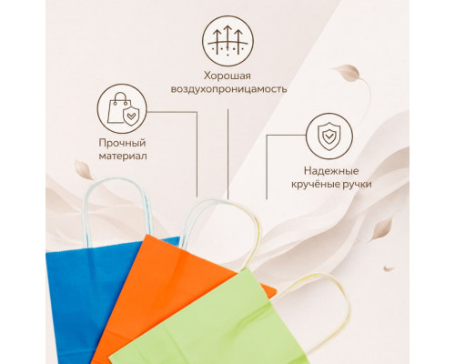 Пакет бумажный с круч. ручками 275*220*120 80г/м2 ЦВЕТ В АССОРТИМЕНТЕ
