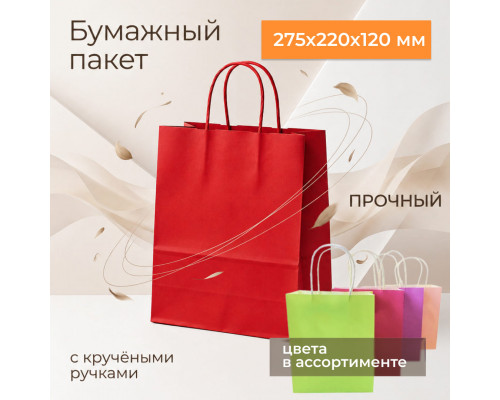 Пакет бумажный с круч. ручками 275*220*120 80г/м2 ЦВЕТ В АССОРТИМЕНТЕ