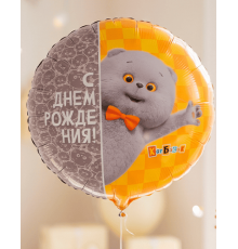 Шар фольгированный 18"/46см С днем рождения! кот Басик в упаковке круг